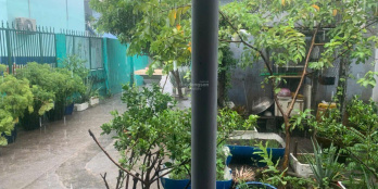 Ảnh đại diện