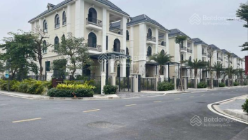 Khung cảnh đường phố lân cận dự án