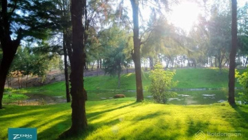 Cantavil Long Hải Resort