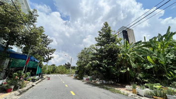 Tiện ích Trường học trong dự án