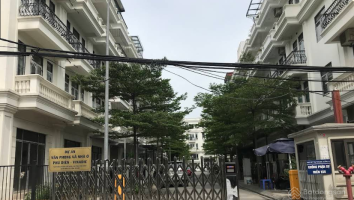 Cảnh quan hồ bơi và cây xanh nội khu