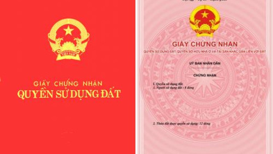 Ảnh đại diện