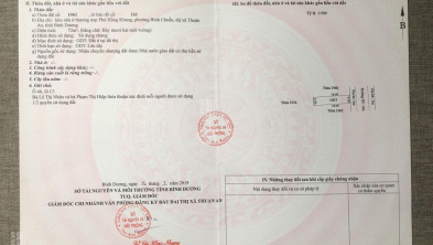 Ảnh đại diện