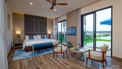 Ảnh đại diện