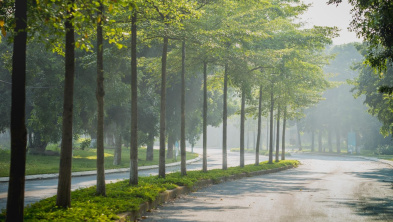 Ảnh đại diện