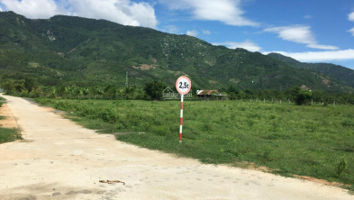 Ảnh đại diện