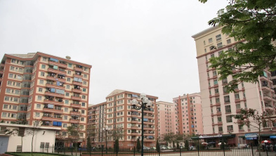 Ảnh đại diện