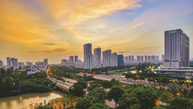 Ảnh đại diện