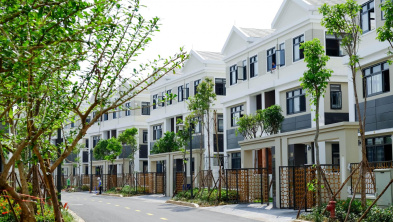 Ảnh đại diện