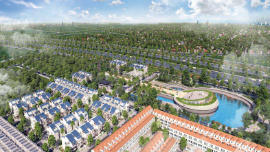 Ảnh đại diện