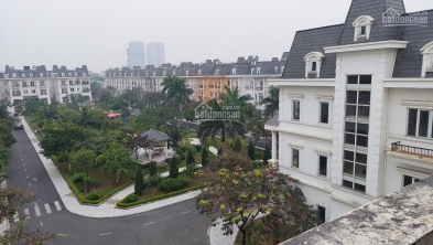 Ảnh đại diện