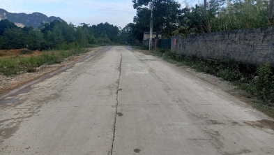 Ảnh đại diện