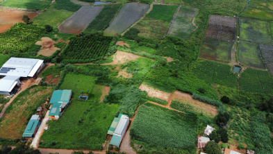 Ảnh đại diện