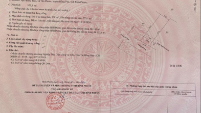 Ảnh đại diện