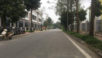 Ảnh đại diện