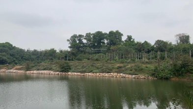 Ảnh đại diện