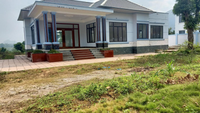 Ảnh đại diện