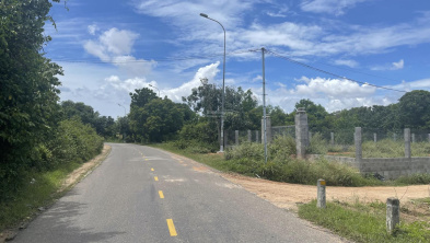 Ảnh đại diện