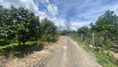 Ảnh đại diện