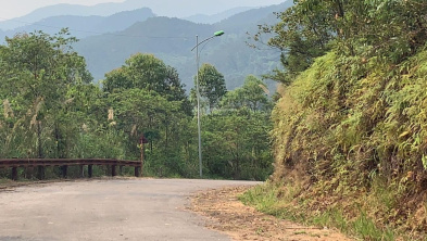 Ảnh đại diện