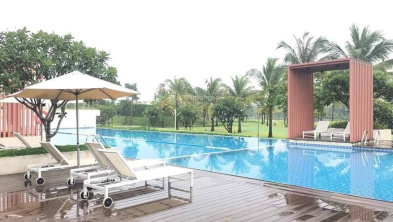 Ảnh đại diện