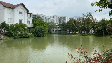 Bán Hoa Lan 1, 305m2 view Vườn Tùng, cạnh Almaz, xây thô, trung tâm Vinhomes Riverside
0932 533 ***