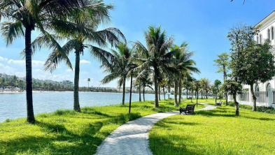 Ảnh đại diện