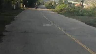 Ảnh đại diện