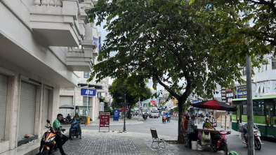 Ảnh đại diện