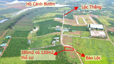 Ảnh đại diện