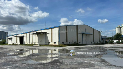 Ảnh đại diện