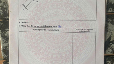 Ảnh đại diện