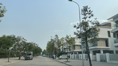 Ảnh đại diện