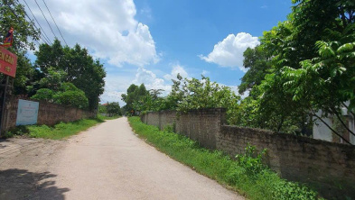 Ảnh đại diện