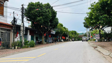 Ảnh đại diện