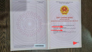 Ảnh đại diện