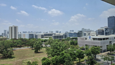 Ảnh đại diện