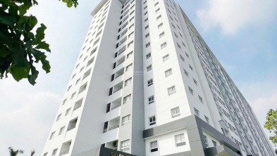 Ảnh đại diện