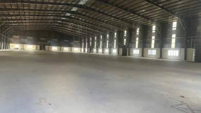 Ảnh đại diện
