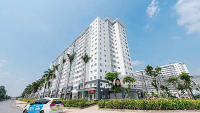 Ảnh đại diện