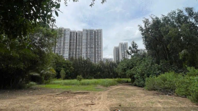 Ảnh đại diện