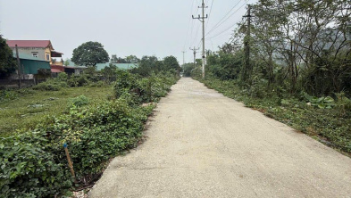 Ảnh đại diện