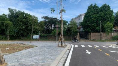 Ảnh đại diện