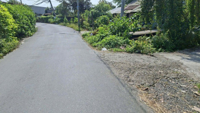 Ảnh đại diện