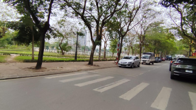 Ảnh đại diện