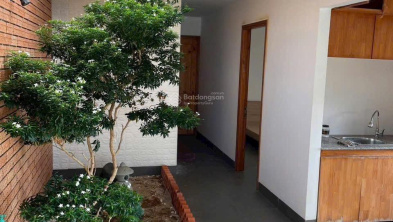 Ảnh đại diện