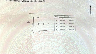 Ảnh đại diện