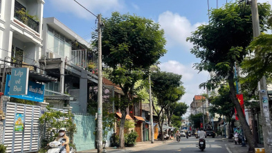 Ảnh đại diện