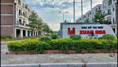 Ảnh đại diện