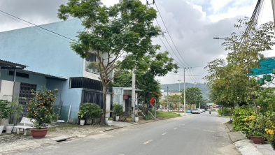 Ảnh đại diện